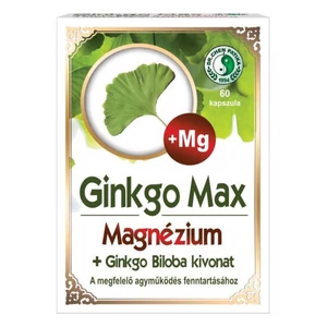Dr. Chen Ginkgo Max Magnéziummal kapszula 60x