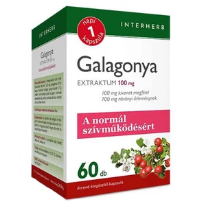 Interherb Napi 1 Galagonya Extraktum kapszula 60x