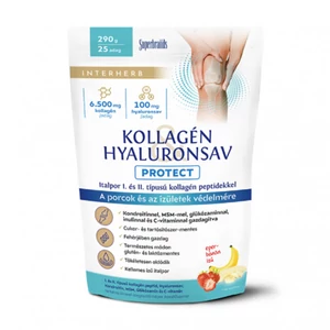Interherb Kollagén &amp;amp; Hyaluronsav Porcépítő italpor Protect 290g