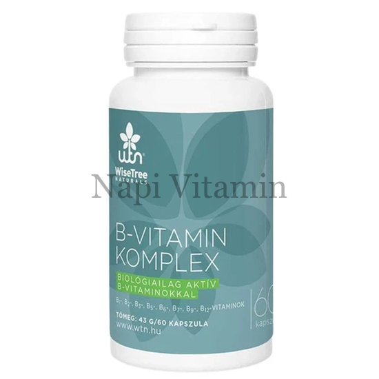 WTN B-vitamin komplex 60x